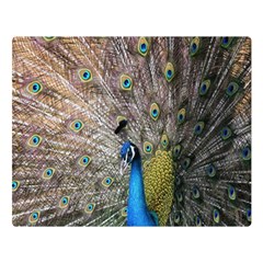 Peacock Bird Animal Peafowl Two Sides Premium Plush Fleece Blanket (large) by Perong