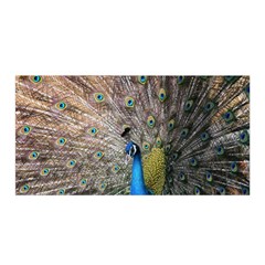 Peacock Bird Animal Peafowl Satin Wrap 35  X 70  by Perong