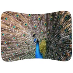 Peacock Bird Animal Peafowl Velour Seat Head Rest Cushion by Perong