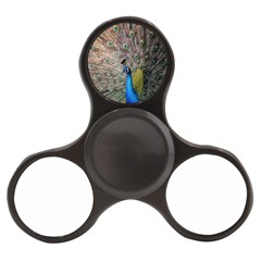 Peacock Bird Animal Peafowl Finger Spinner by Perong