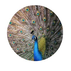 Peacock Bird Animal Peafowl Mini Round Pill Box