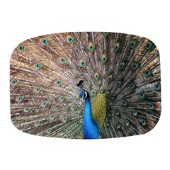 Peacock Bird Animal Peafowl Mini Square Pill Box by Perong