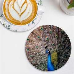 Peacock Bird Animal Peafowl Uv Print Round Tile Coaster by Perong