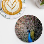 Peacock Bird Animal Peafowl UV Print Round Tile Coaster Front