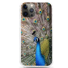 Peacock Bird Animal Peafowl Iphone 12 Pro Max Tpu Uv Print Case by Perong