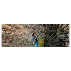 Peacock Bird Animal Peafowl Banner And Sign 12  X 4 