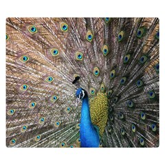 Peacock Bird Animal Peafowl Premium Plush Fleece Blanket (small)