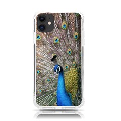 Peacock Bird Animal Peafowl Iphone 11 Tpu Uv Print Case by Perong