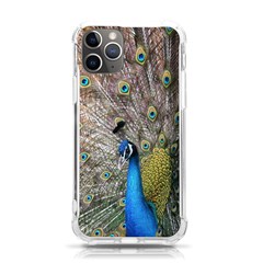 Peacock Bird Animal Peafowl Iphone 11 Pro 5 8 Inch Tpu Uv Print Case by Perong