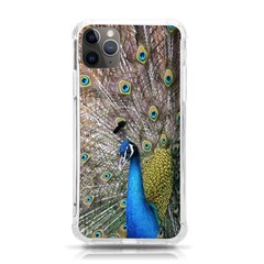 Peacock Bird Animal Peafowl Iphone 11 Pro Max 6 5 Inch Tpu Uv Print Case by Perong