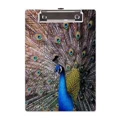 Peacock Bird Animal Peafowl A5 Acrylic Clipboard by Perong