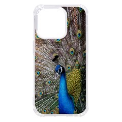 Peacock Bird Animal Peafowl Iphone 14 Pro Tpu Uv Print Case by Perong