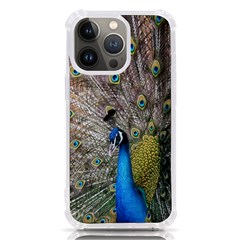 Peacock Bird Animal Peafowl Iphone 13 Pro Tpu Uv Print Case by Perong