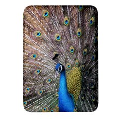 Peacock Bird Animal Peafowl Rectangular Glass Fridge Magnet (4 Pack) by Perong