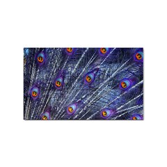 Peacock Bird Feathers Coloured Plumage Sticker Rectangular (10 Pack) by Perong