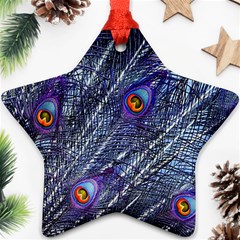 Peacock Bird Feathers Coloured Plumage Star Ornament (two Sides)