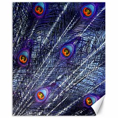 Peacock Bird Feathers Coloured Plumage Canvas 16  X 20  by Perong