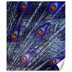 Peacock Bird Feathers Coloured Plumage Canvas 20  X 24 