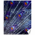 Peacock Bird Feathers Coloured Plumage Canvas 11  x 14  10.95 x13.48  Canvas - 1