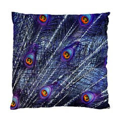 Peacock Bird Feathers Coloured Plumage Standard Cushion Case (one Side) by Perong