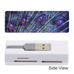 Peacock Bird Feathers Coloured Plumage Memory Card Reader (stick)