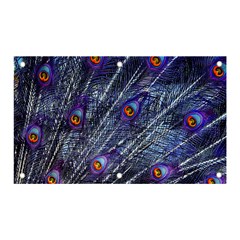 Peacock Bird Feathers Coloured Plumage Banner And Sign 5  X 3  by Perong