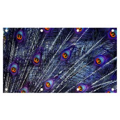 Peacock Bird Feathers Coloured Plumage Banner And Sign 7  X 4  by Perong