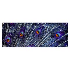 Peacock Bird Feathers Coloured Plumage Banner And Sign 8  X 3 