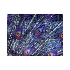 Peacock Bird Feathers Coloured Plumage Premium Plush Fleece Blanket (mini) by Perong