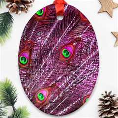 Peacock Feathers Coloured Plumage Pink Red Ornament (oval)