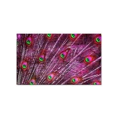 Peacock Feathers Coloured Plumage Pink Red Sticker (rectangular) by Perong