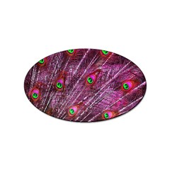 Peacock Feathers Coloured Plumage Pink Red Sticker Oval (100 Pack) by Perong