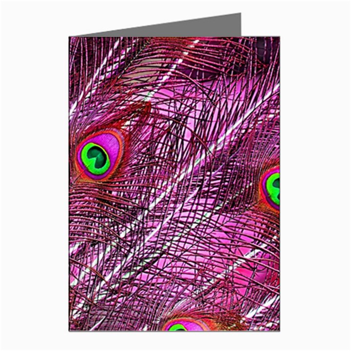 Peacock Feathers Coloured Plumage Pink Red Greeting Cards (Pkg of 8)