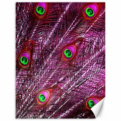 Peacock Feathers Coloured Plumage Pink Red Canvas 12  X 16 