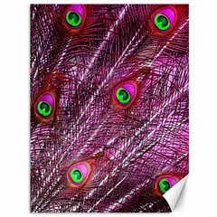 Peacock Feathers Coloured Plumage Pink Red Canvas 36  X 48 