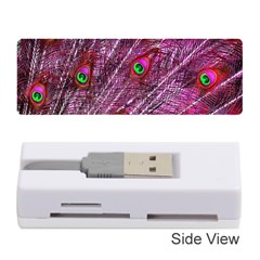 Peacock Feathers Coloured Plumage Pink Red Memory Card Reader (stick)