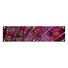 Peacock Feathers Coloured Plumage Pink Red Banner And Sign 4  X 1  by Perong