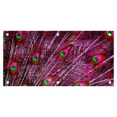 Peacock Feathers Coloured Plumage Pink Red Banner And Sign 6  X 3  by Perong