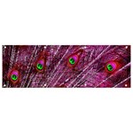 Peacock Feathers Coloured Plumage Pink Red Banner and Sign 9  x 3  Front