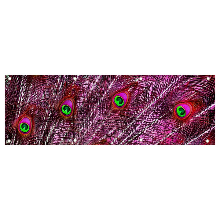 Peacock Feathers Coloured Plumage Pink Red Banner and Sign 9  x 3 