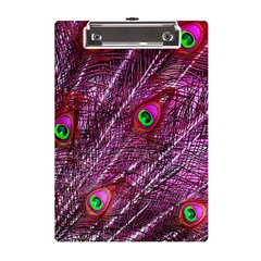 Peacock Feathers Coloured Plumage Pink Red A5 Acrylic Clipboard by Perong