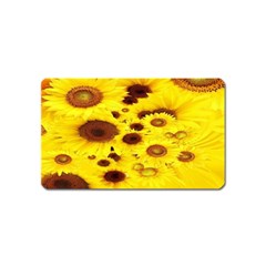 Beautiful Sunflowers Magnet (name Card) by Ket1n9