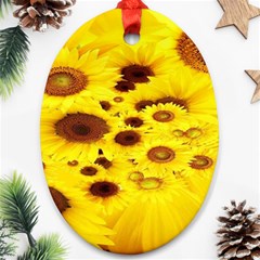 Beautiful Sunflowers Oval Ornament (two Sides)