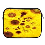 Beautiful Sunflowers Apple iPad 2/3/4 Zipper Cases Front