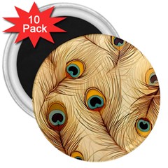 Vintage Peacock Feather Peacock Feather Pattern Background Nature Bird Nature 3  Magnets (10 Pack) 