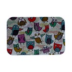 Owl Animal Bird Pattern Open Lid Metal Box (Silver)   Front