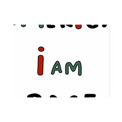 America  I Am Race Premium Plush Fleece Blanket (mini) by RiverRootz