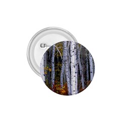 White Birch Trees Autumn 1 75  Buttons by Perong