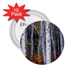 White Birch Trees Autumn 2 25  Buttons (10 Pack)  by Perong