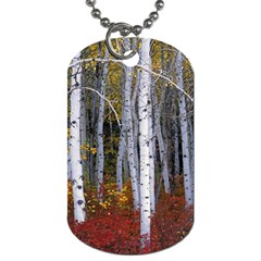 White Birch Trees Autumn Dog Tag (one Side) by Perong